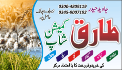 Urdu business card cdr ai file